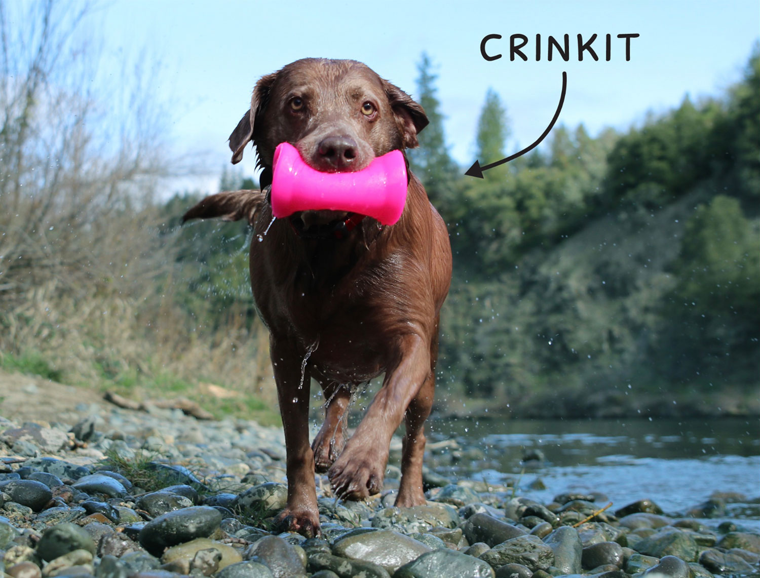 Ruff-Dawg-Crinkit-dog1